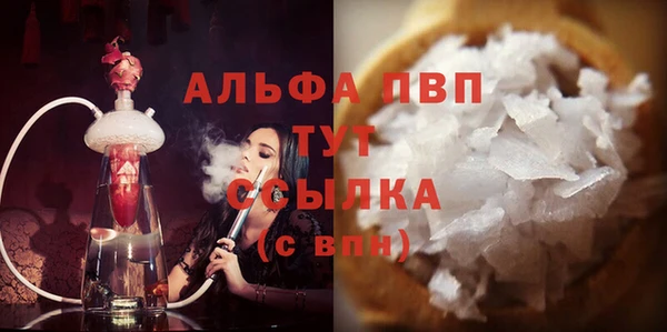 стафф Алексин