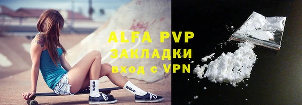 стафф Алексин