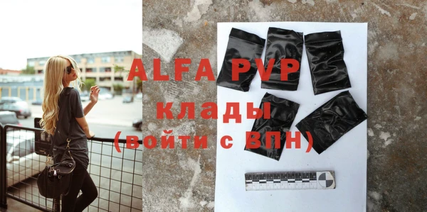 стафф Алексин
