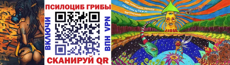 купить наркоту  Апрелевка  Галлюциногенные грибы Psilocybe 