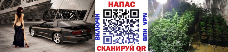 Шишки марихуана MAZAR  Апрелевка 